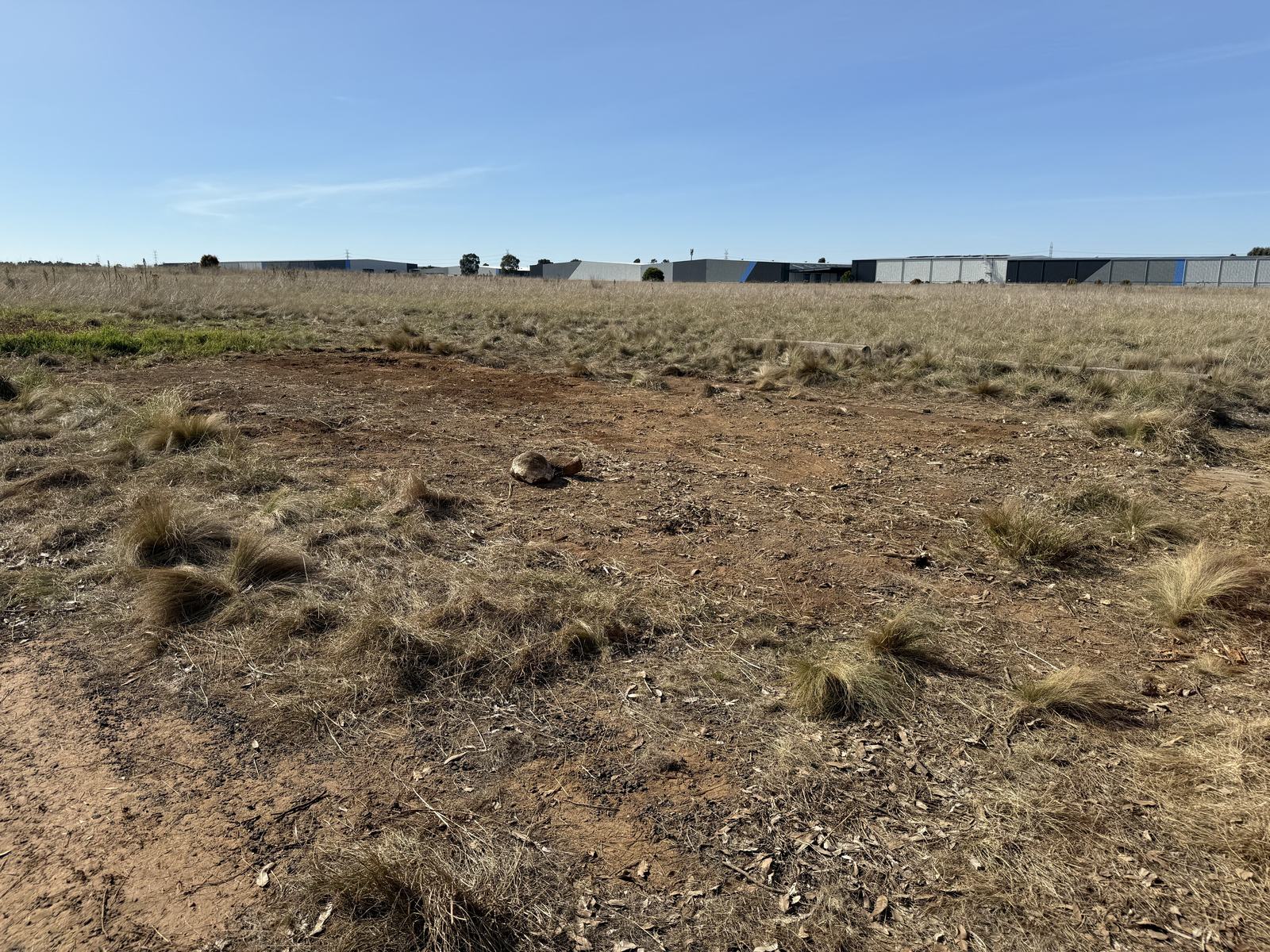 The cleared Derrimut Grasslands site after cleanup